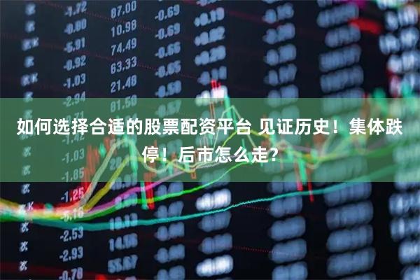 如何选择合适的股票配资平台 见证历史！集体跌停！后市怎么走？